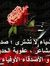 Hanaa M...