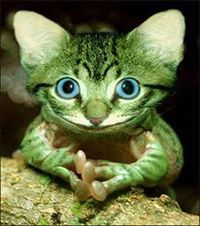 عبدالله بالبيد