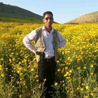 عبدالله البواطي