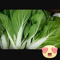Wai Li