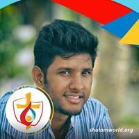Roy T Cherian