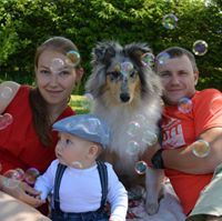 Eveli Stahelstrauch-Pulk