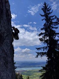 Šarūnas Nejus
