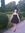 Agnese