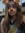 Madison Volkenant | 3 comments