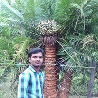 Pabbathi Chiranjeevi