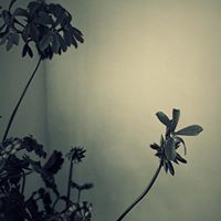 Маргарита Динкова