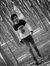 Tanmay ...