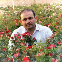 Aram Qadir Ahmed