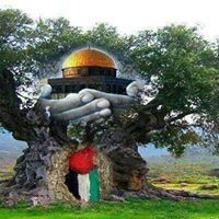 ردينه دحبور