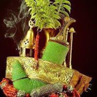 وفاء الصلاحي