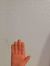 Rachel Forsyth