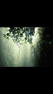 শূন্য বাড়ি