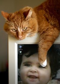 ريماس الالماس