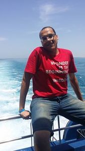 Amr Hamdi