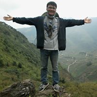 Thông Xanh