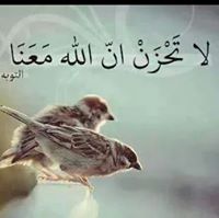 ابتسام الحياة