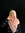 Desy Airia