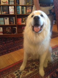 Bill Memorial Library