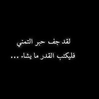 محمد ابو عامر