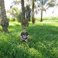 محمد محمد مصطفى