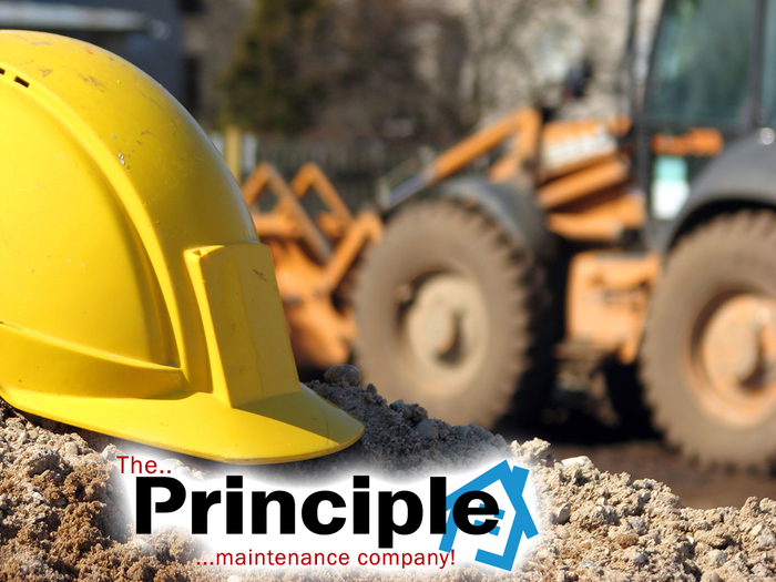 Goodreads profile picture for @principle
