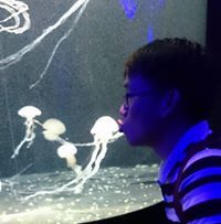 Minghao Ang