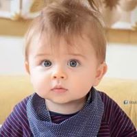 حامد المشهور