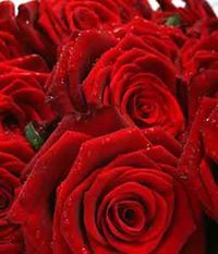 شهاب الرحبي