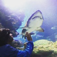 Menno Mexico