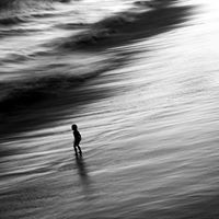 ماجد آل طالع