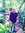 Hendri Hendriycole (hedriycole) | 12 comments