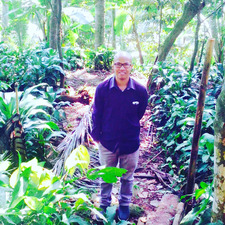 Hendri Hendriycole