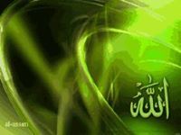 حسام العربى