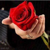 يحيى السعبري