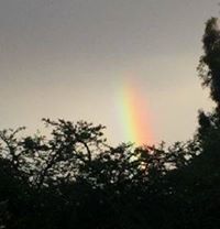 ماجد البحري