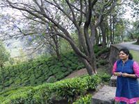 Sreekala Suresh