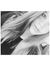 Taite M...