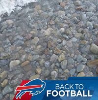 Ardeen Rigerman-Raglan