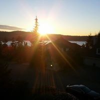 Christopher W Stewart