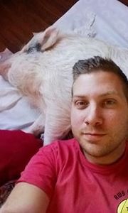 Mr Alexander E Morton