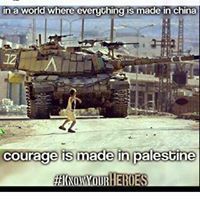 فيسل إبراهيم