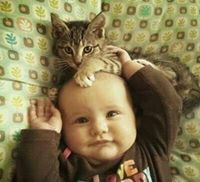 عبدالرحمن على