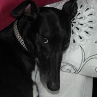 Moreton C.E.P School