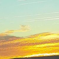 Michelle Cotta-Rickard