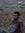 Javed P...