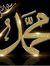 Ahmed M...