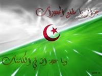 Ali Allout
