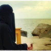 نورعين زينل