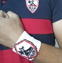 Ali Elgaweesh